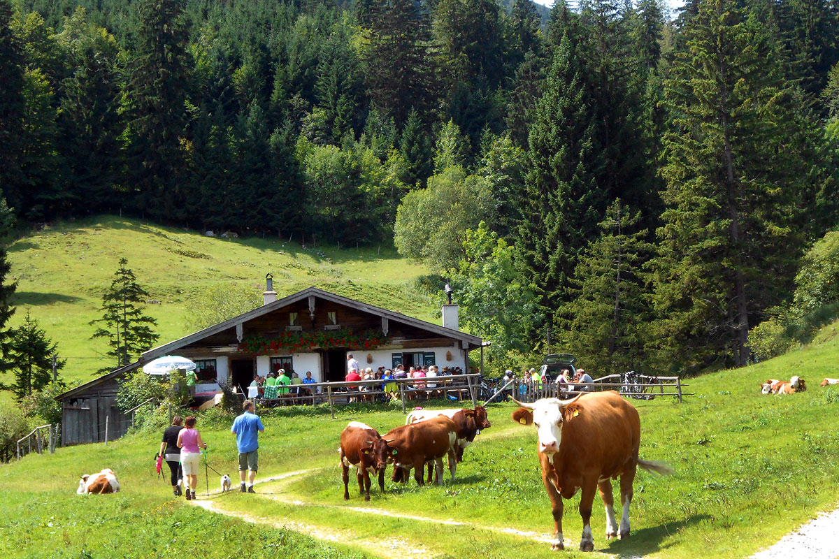 Die urige Dalsenalm im Chiemsee Alpenland ist ein beliebtes Wanderziel 