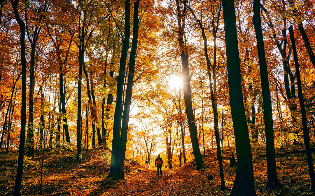 Naturpark Thüringer Schiefergebirge